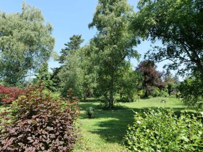 arboretum